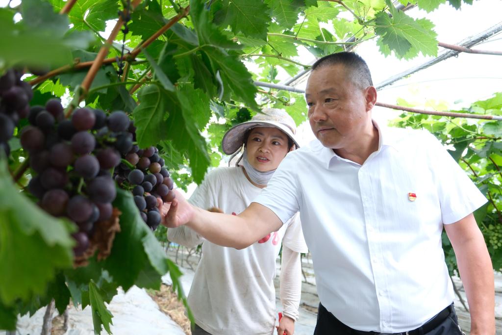 党旗在基层一线高高飘扬 | 退伍军人当书记，带出一个亿元村